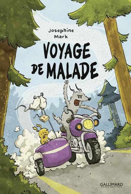 voyage de malade